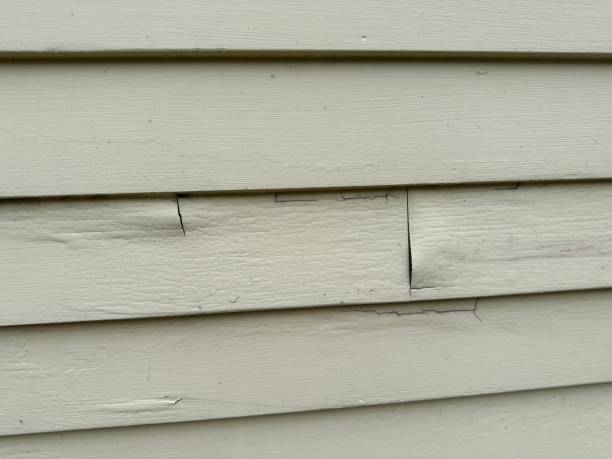 Affordable Siding Repair and Maintenance Services in Sebastopol, CA